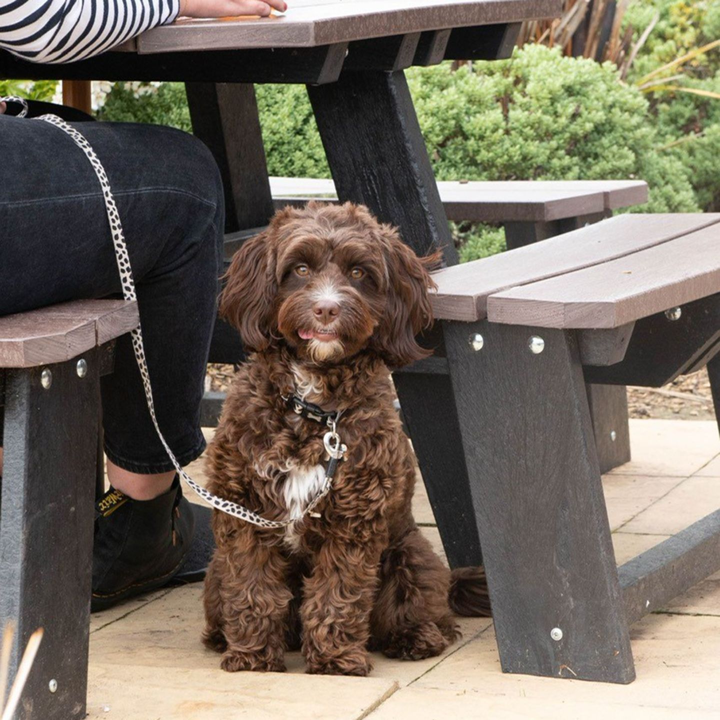 Your local dog friendly pub in Ebbsfleet